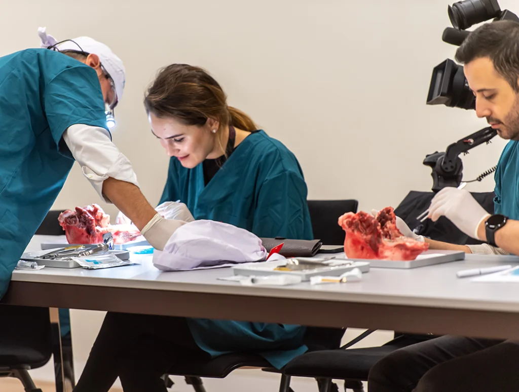 dental implant courses